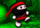 Ninja Caver